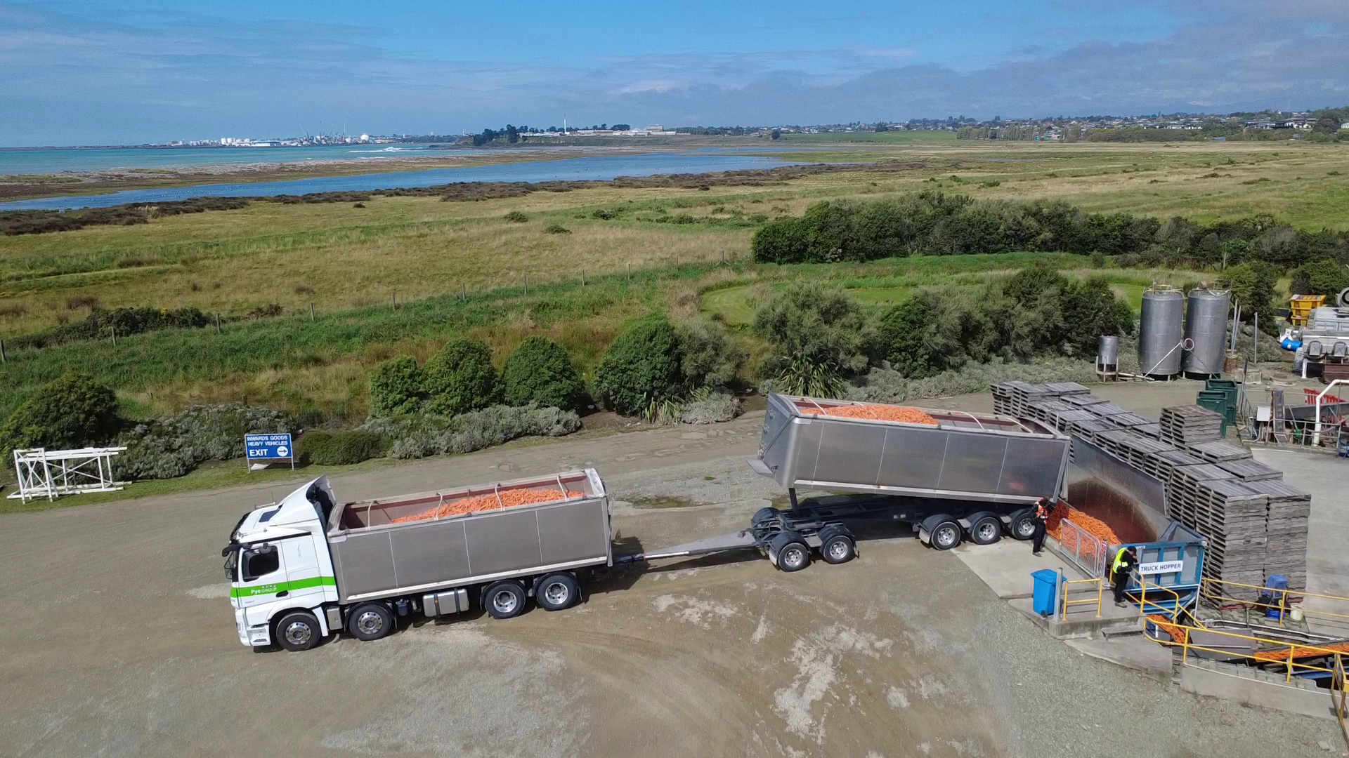 truck unloading carrots at JPNZ yard