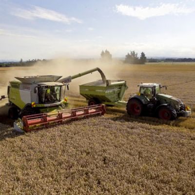 Harvester at work