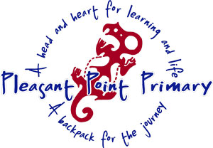 Pleasant point logo